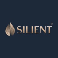 Silient logo - Similar company to Vidalite Lighting