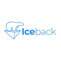 Iceback logo - Similar company to Bytflow