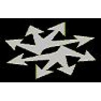 Psingularity logo - Similar company to Falcons Landing