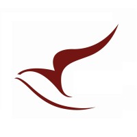 Bernoulli Finance logo - Similar company to Eso-X