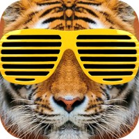 After School App logo - Similar company to Thinking In Design