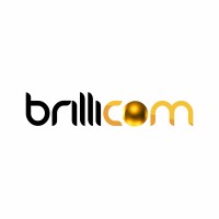 Brillicom LLC logo - Similar company to Sapif