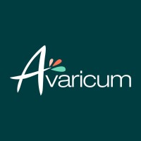 Avaricum Shopping Center logo - Similar company to Monolyte