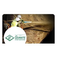 Gunnite International logo - Similar company to Dsc-Zendon / Mbr