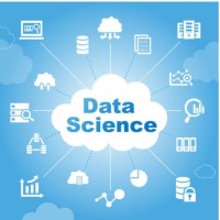 Data Scientist logo - Similar company to The Data Scientist
