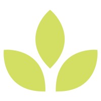 Consciously Creating Health