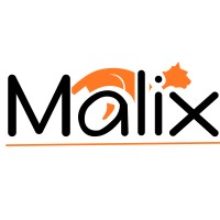 MALIX LTD logo - Similar company to Rayn Mining Limited
