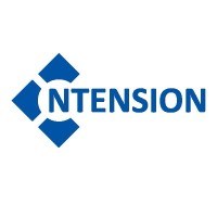 Ntension logo - Similar company to Palmer Digital Group