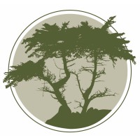 Twig, Turf, & Trusts, Llc