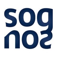 Sognos Solutions logo - Similar company to Empower It Solutions