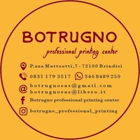 BOTRUGNO Professional Printing Center logo - Similar company to Pattern-Making Service Center 