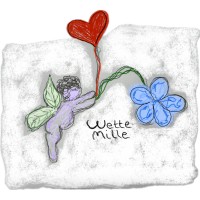 wette mille logo - Similar company to Skyhost