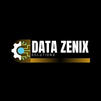 Data Zenix Solutions logo - Similar company to Elevvo