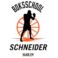 Boksschool Schneider logo - Similar company to Tdw Systems