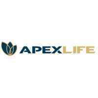 Apex Life Insurance JSC logo - Similar company to Kivosoft