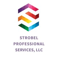 Strobel Professional Services, LLC logo - Similar company to Data Mechanik