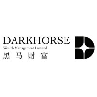 Darkhorse Wealth Management Limited logo - Similar company to Connectedsolutions