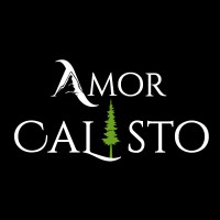 Amor Calisto logo - Similar company to Setty Picks Llc