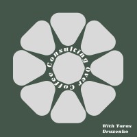 Consulting Over Coffee logo - Similar company to Squarify