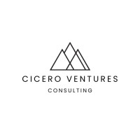 Cicero Ventures Consulting logo - Similar company to Brain Injury Services