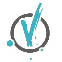 VisionDev logo - Similar company to Litehost