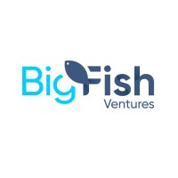 Big Fish Ventures LLC logo - Similar company to Clean With Ross