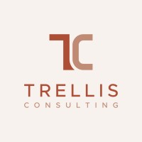 Trellis Consulting logo - Similar company to Mikro Cyber Cloud