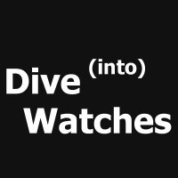 Dive into Watches logo - Similar company to Tik Tak Time