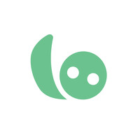 borro logo - Similar company to Hors' Group
