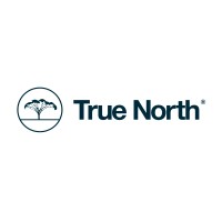 True North Limited logo - Similar company to Kea Projects Group