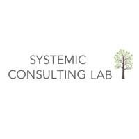 Systemic Consulting Lab logo - Similar company to Systemic Solutions Consulting, Ltd