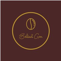 Brilliant Gem LLC logo - Similar company to Tag Trading Co.