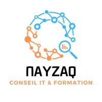 NAYZAQ logo - Similar company to Nayzike