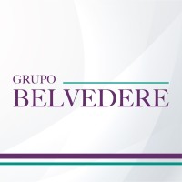 Grupo Belvedere logo - Similar company to Belvedere Group