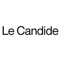 Le Candide Studio logo - Similar company to Unifaction