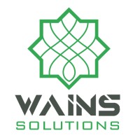 WAINS Solutions logo - Similar company to Wing Solutions