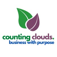 Counting Clouds Cambridgeshire Limited logo - Similar company to Numerico Chartered Certified Accountants