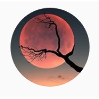 BIDM srl logo - Similar company to Rabbit Tv