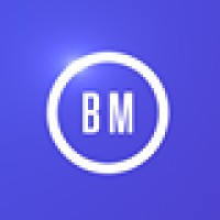Birthmark logo - Similar company to Zig Capital