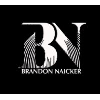 Brandon Naicker logo - Similar company to Metatrusted Services