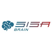 Sisa Brain logo - Similar company to Icra