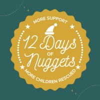 Days Of Nuggets