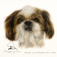 Mayberry Farm Fine Art