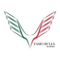 FAMOBULLS Academy logo - Similar company to Athangsagar Trading Academy & Financial Services