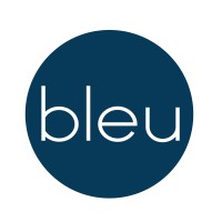 Bleudot logo - Similar company to Axiss