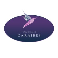 Aéro Intérim CARAÏBES logo - Similar company to Montelsurpause