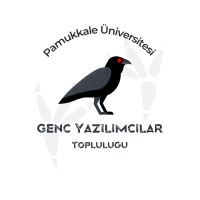 Paü Genç Yazılımcılar logo - Similar company to Paüsiber