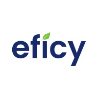Eficy logo - Similar company to Butik