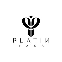 Platin Yaka logo - Similar company to Futursight
