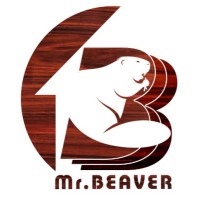 Mr. Beaver INC logo - Similar company to Tzs.Lab